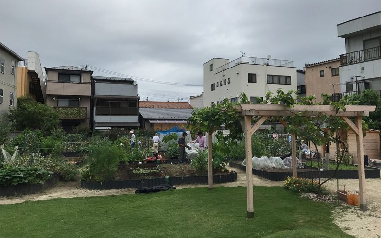 誰でも収穫して食べてOKな農園も!? 公園の一角やビル屋上などに都市型農園が増加中！ 『まちを変える都市型農園』新保奈穂美さんに聞く3事例