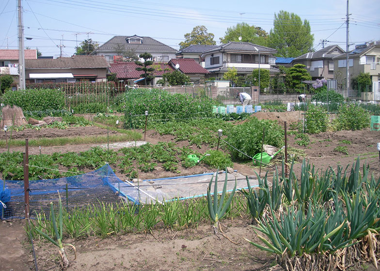 市街化区域内の農地はいずれ住宅や商業地になるはずだったが、人口減少による需要減もあり、都市の環境保全の場として見直されている（画像提供／新保奈穂美さん）