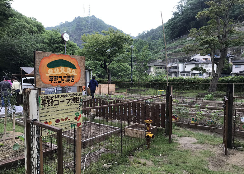 六甲山系の山裾にある平野展望公園内の約390平米を利用（画像提供／新保奈穂美さん）